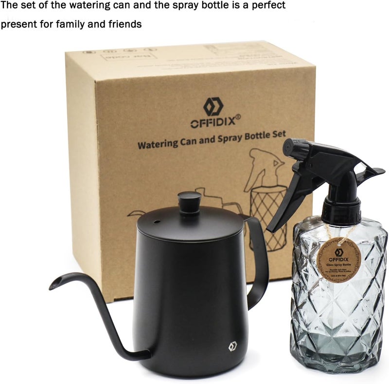 OFFIDIX Watering Can for Indoor Plants,Long Spout Metal Stainless Steel 21 oz/600 ml Watering Can with 14 oz/400ml Glass Plant Mister Spray Bottle for Plant Bonsai - Image 5